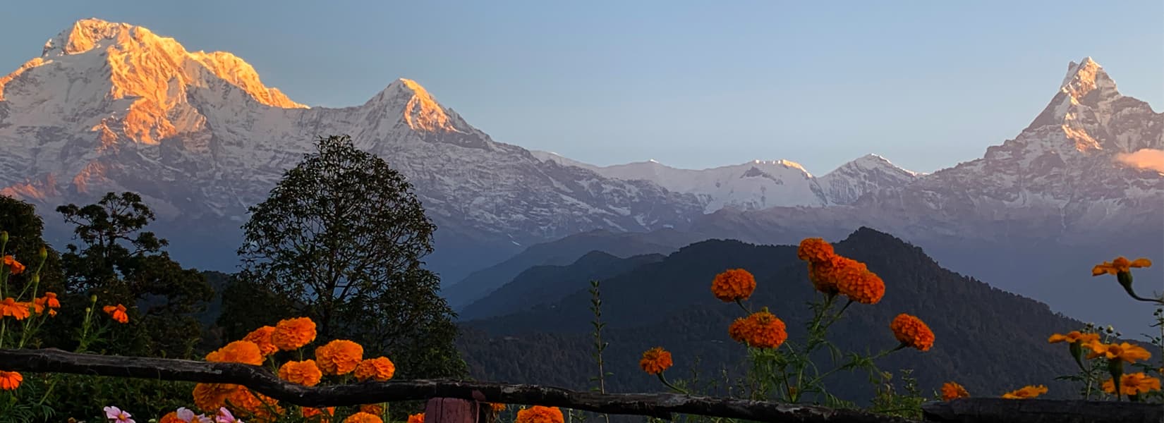 Australian Camp and Dhampus Hike