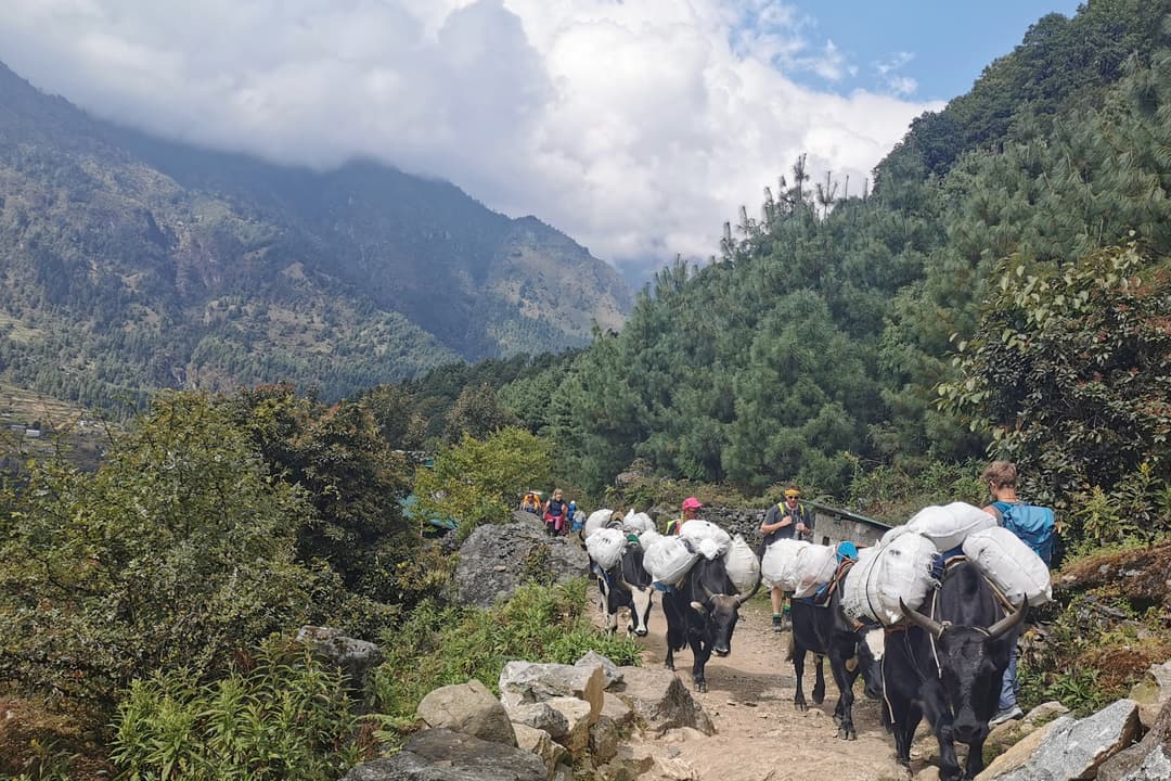 Everest Base Camp Luxury Trek