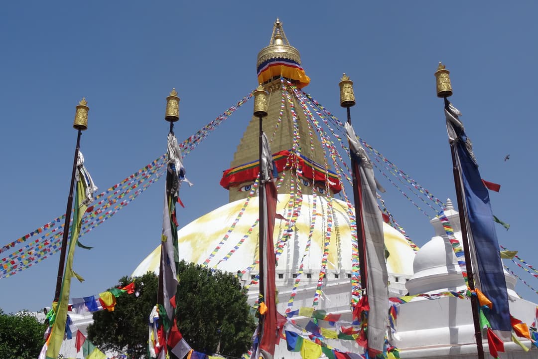 Kathmandu Pokhara Chitwan Tour