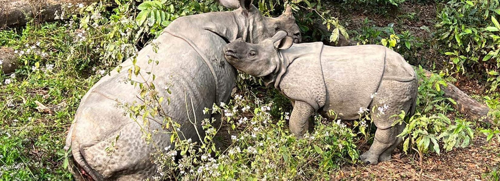 Bardiya Jungle Safari Tour - <span class="font-light">4 days</span>